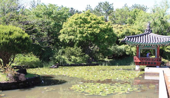 한국정원.